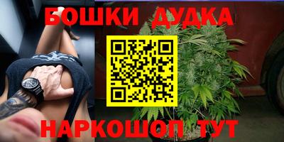 спайс Аша