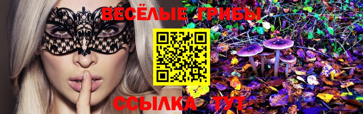 Железноводск  купить наркоту  Вход с VPN  Псилоцибиновые грибы Magic Shrooms  Галлюциногенные грибы Magic Shrooms 